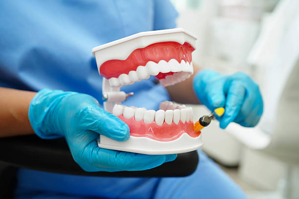 istock Doctor clean teeth denture with toothbrush for teach patient and dentist studying about dentistry. 2244414988