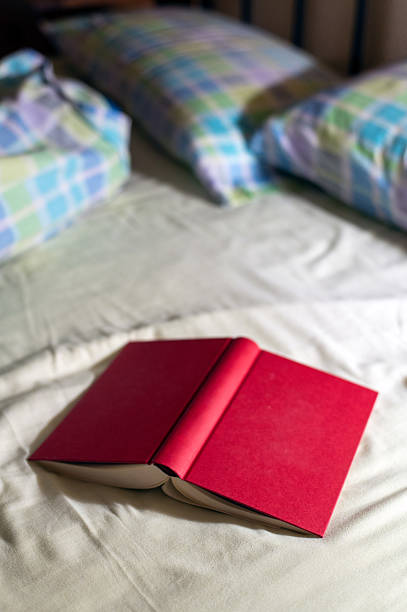 istock Red Notebook Resting on a Soft Bed With Colorful Plaid Pillows in a Cozy Bedroom 2244418079