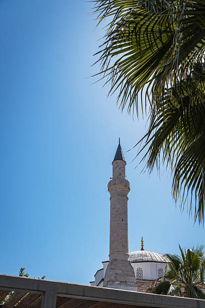 istock Mosque minaret framed by palm leaves under a blue sky in Turkey. 2244424096