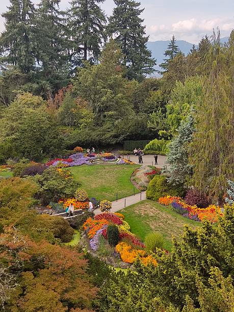istock Queen Elizabeth Park in spring, Vancouver, British Columbia, Canada 2244427488