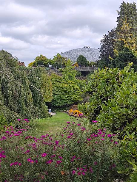 istock Queen Elizabeth Park, Vancouver, British Columbia, Canada 2244427489