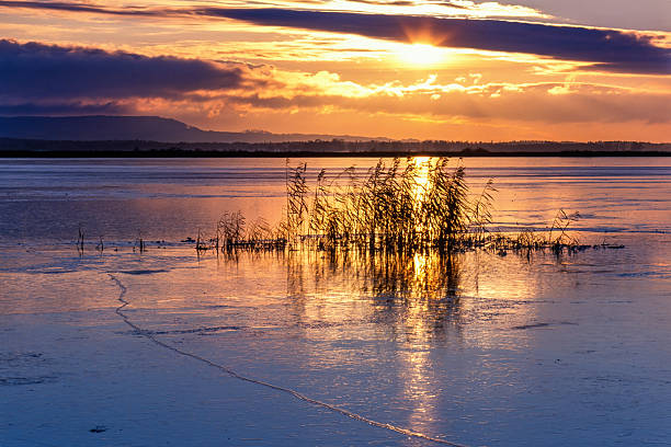 Sunset at a frozen lake a cold winter evening
