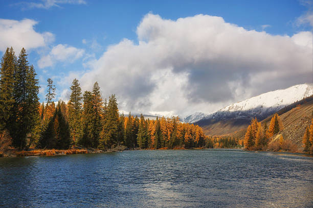 istock cold autumn mountain lake surrounded by forest 2244429848