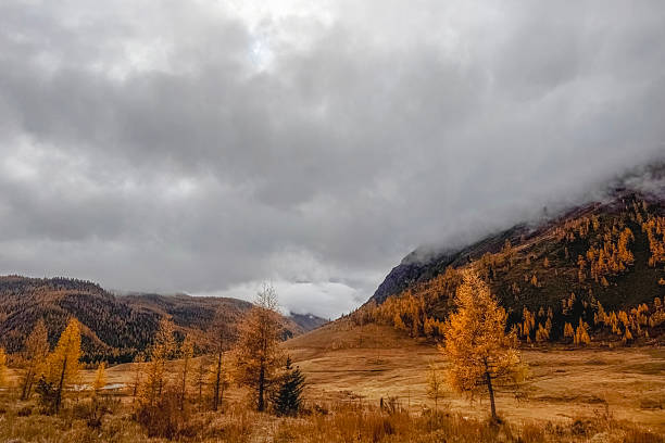 istock Autumn colorful foothills with yellow larches. 2244429862