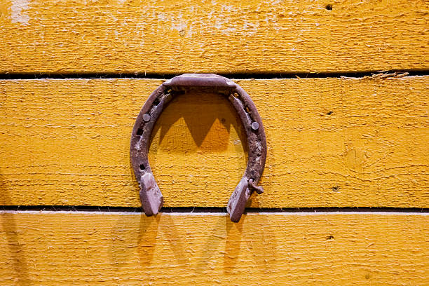 Closeup of a generic horseshoes game on a lawn in the sunshine.