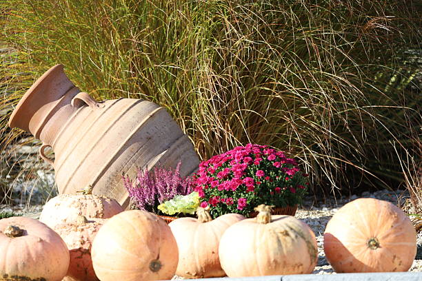 Ceramic amphora with pumpkins and autumn flowers placed among golden dry grass. Harmony of warm colors and natural light.