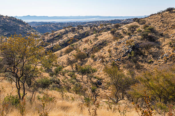 istock Landscape of central Namibia 2244433744