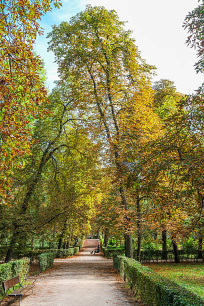 istock Autumn, forest, El Retiro Park, Madrid, Spain, Europe 2244433896