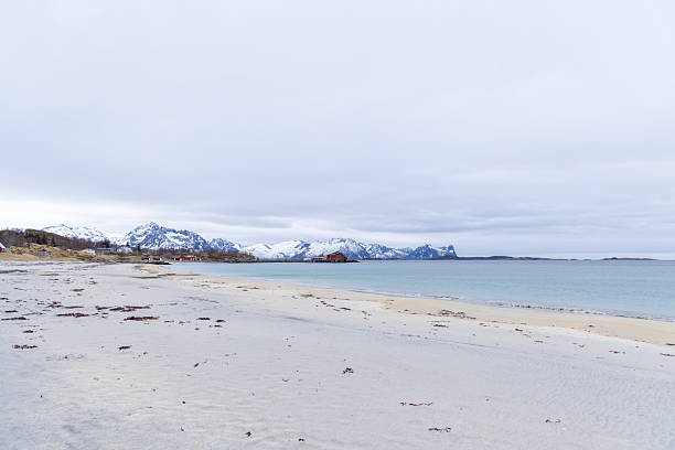 Pristine beach with gentle waves on a cloudy day. Idyllic shoreline retreat perfect for relaxation. Scenic view of untouched nature, ideal for travel inspiration.
