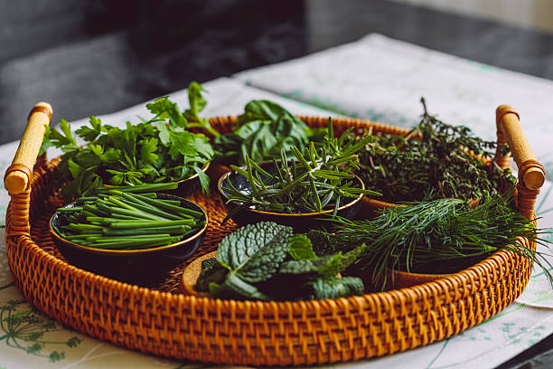 istock Green spices and herbs 2244440265