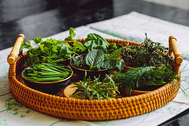 istock Green spices and herbs 2244440290