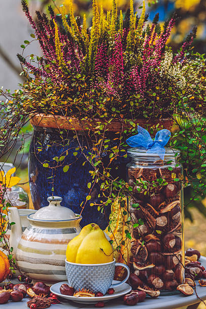 istock Flower arrangement in the garden 2244440368