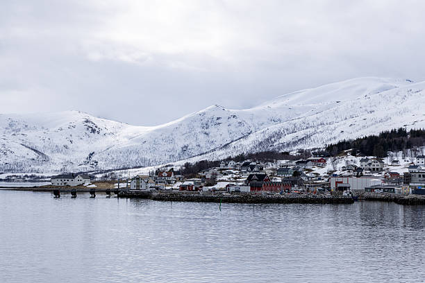 Quiet coastal village with houses near calm water and snowy mountains in the background. Winter landscape with overcast sky and peaceful waterfront homes. Remote northern settlement in cold season.