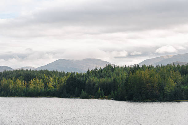 Forest and mountains surrounding a peaceful lake under a cloudy sky in glencoe