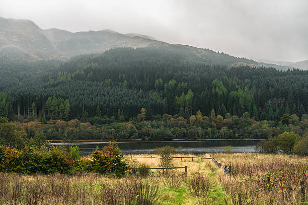 Moody mountainscape featuring glencoe loch, forest, and lush grasses under a cloudy sky