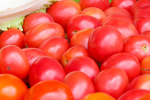 ripe tomatoes - organic vegetables and healthy eating styled concept, elegant visuals