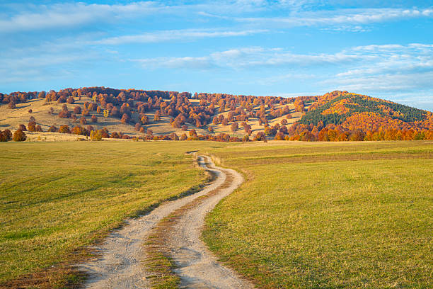 Winding dirt road through expansive fields under a blue autumn sky, framed by blazing fall foliage and gentle hills in Transylvania, Romania.