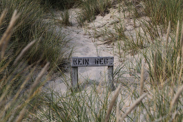 istock Sylt island in summer 2244453160