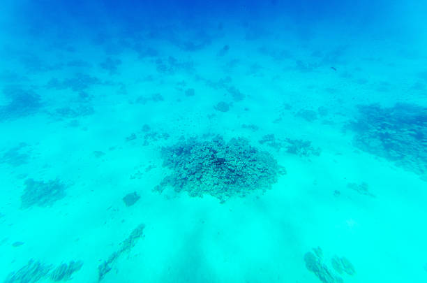 Vast underwater landscape showcasing soft turquoise hues. Gentle lighting highlights sandy ocean floor with scattered coral formations. Calm, tranquil atmosphere prevails