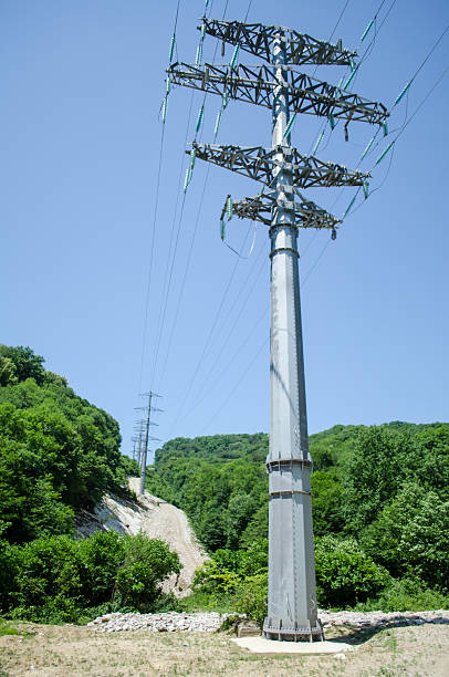 Power line tower rises amidst green forest under clear blue sky. Tower stands prominently, with cables extending into distance. Bright sunlight enhances natural scenery