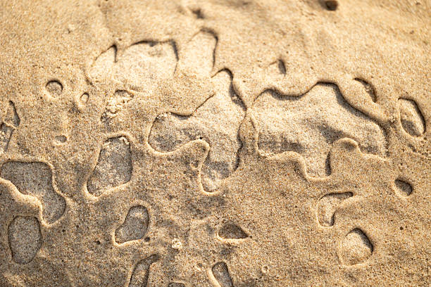 istock Beautiful sand patterns at the beach of Baltic Sea. 2244460099