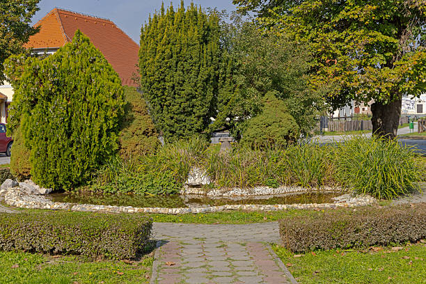 istock Pond Town Park Croatia 2244461688