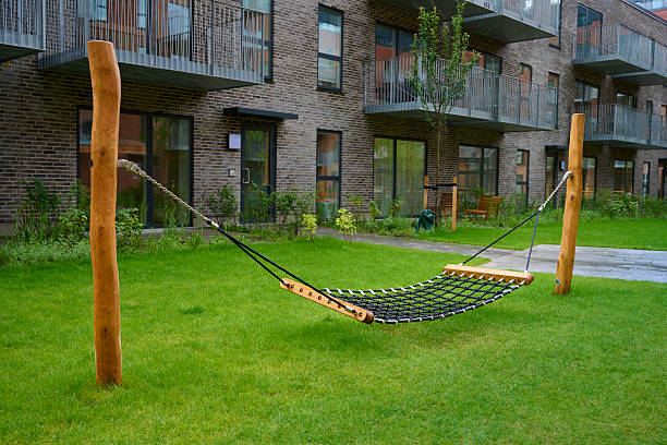 Tree with a swing on a green field on a sunny day. Picturesque landscape