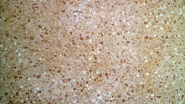 istock Close up of beige terrazzo stone tile texture 2244462684