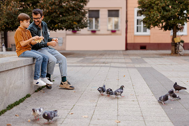 istock Parent and Child Bonding Through Feeding Pigeons 2244463677