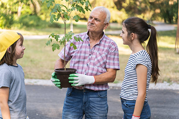istock Generations Working Together to Plant Trees 2244466539