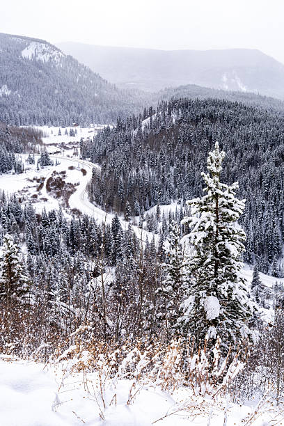 istock Rocky Mountains in Colorado USA 2244471547