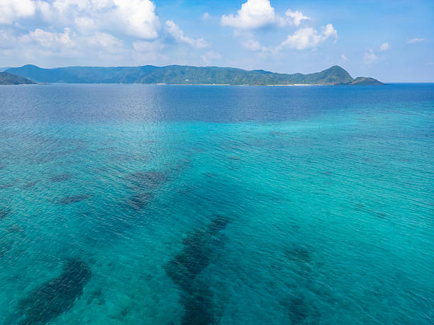 istock sakibaru beach, amami-o-shima, japan 2244478841