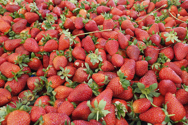 Plentiful red strawberries are displayed together at a vibrant market setting.