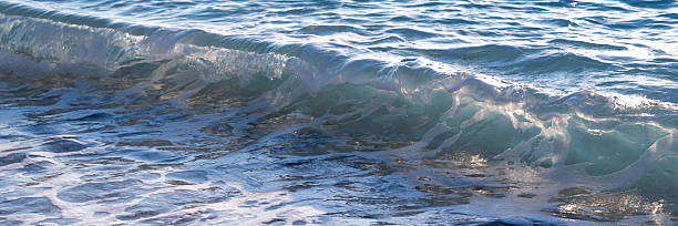 The blue wave rolls onto a beach with white round pebbles  in the rays of the setting sun..