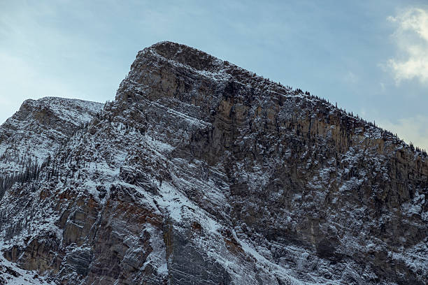 Sheer rock cliff rises sharply above dense pine forest under cloudy sky