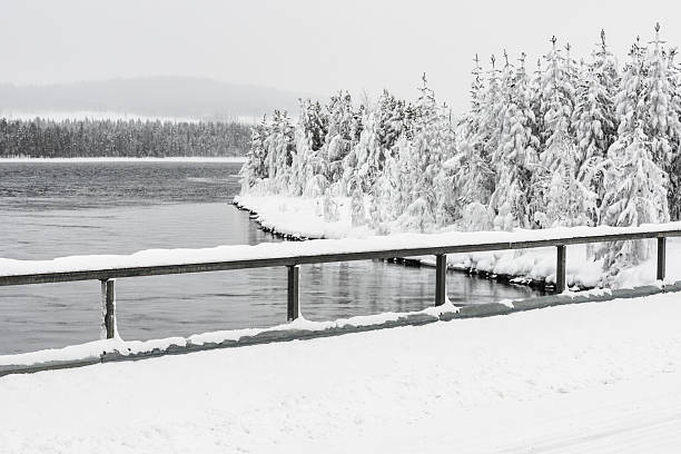 Winter wonderland scenic landscape with downed trees over mountain creek with soft flowing water and fresh snow.