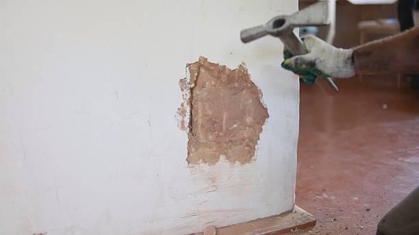 istock Repair a home brick oven for cleaning. 2244493483