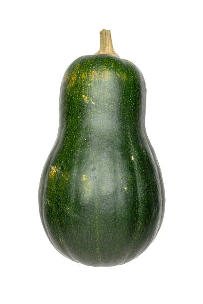 istock Green Butternut Squash: Isolated Fresh Vegetable on White Background, Perfect for Autumn Harvest Themes 2244504628