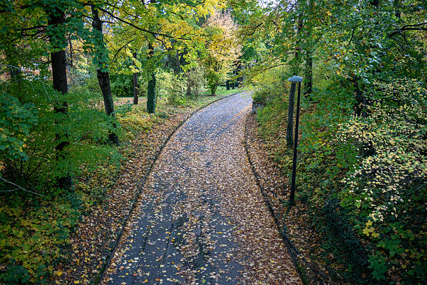 istock Footpath in an autumnal park 2244509344