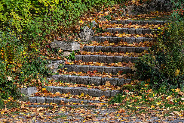 Stone steps covered with leaves in the autumnal park