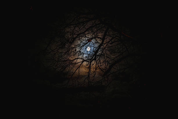istock Full moon glowing behind tree branches at night with colorful halo in cloudy sky, mysterious nature background symbolizing silence, beauty and contemplation 2244512842