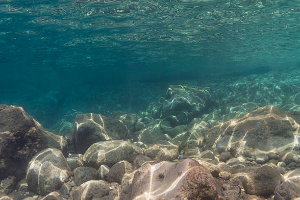 istock Underwater view of a rocky seabed with bright sunlight caustics filtering through the clear turquoise water surface. 2244515407
