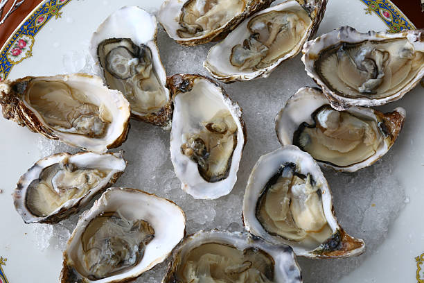 fresh oysters as luxury gourmet food for celebration