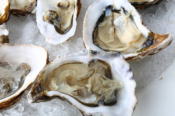 istock fresh oysters as luxury gourmet food for celebration 2244519000