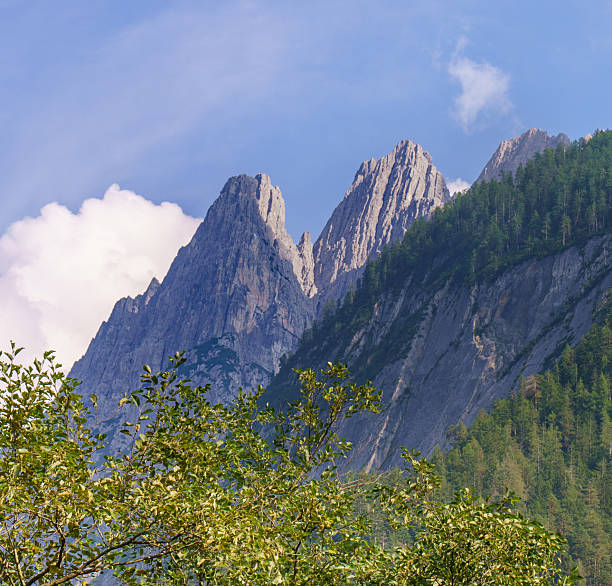 Dramatic Dolomite peaks tower above lush green forest in South Tyrol, Italy. Bright summer light and blue sky highlight the sharp rock formations and alpine natural beauty.