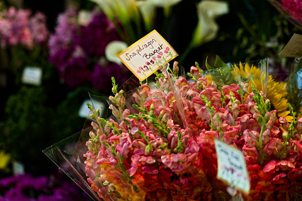 Close-up colorful spring bouquet with many different flowers jelly