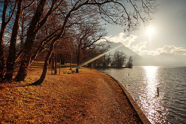 istock Scenic lakeside pathway surrounded by autumn trees, reflecting sunlight on water, creating a serene and tranquil outdoor atmosphere 2244525180