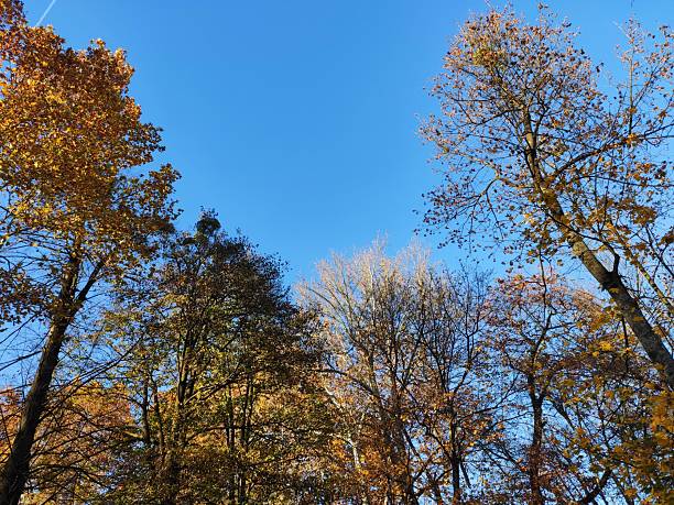 istock Beautiful Autumn Images 2244529857