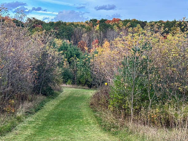 istock Beautiful sunny fall day in Kewaskum, Wisconsin 2244530948