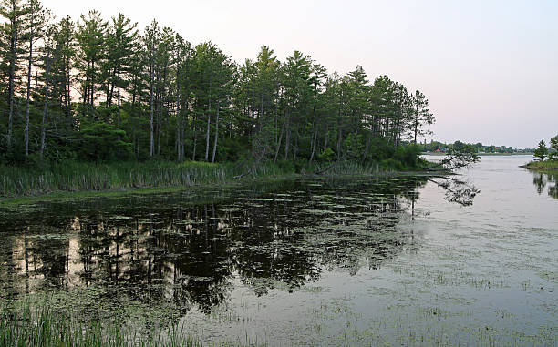 istock Sunset in Voyageurs NP 2244537243
